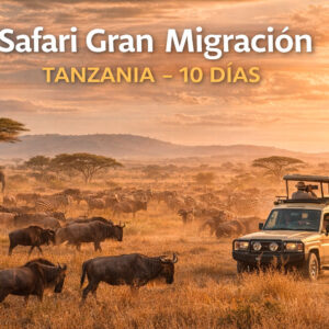 Safari Gran Migración Tanzania – 10 días